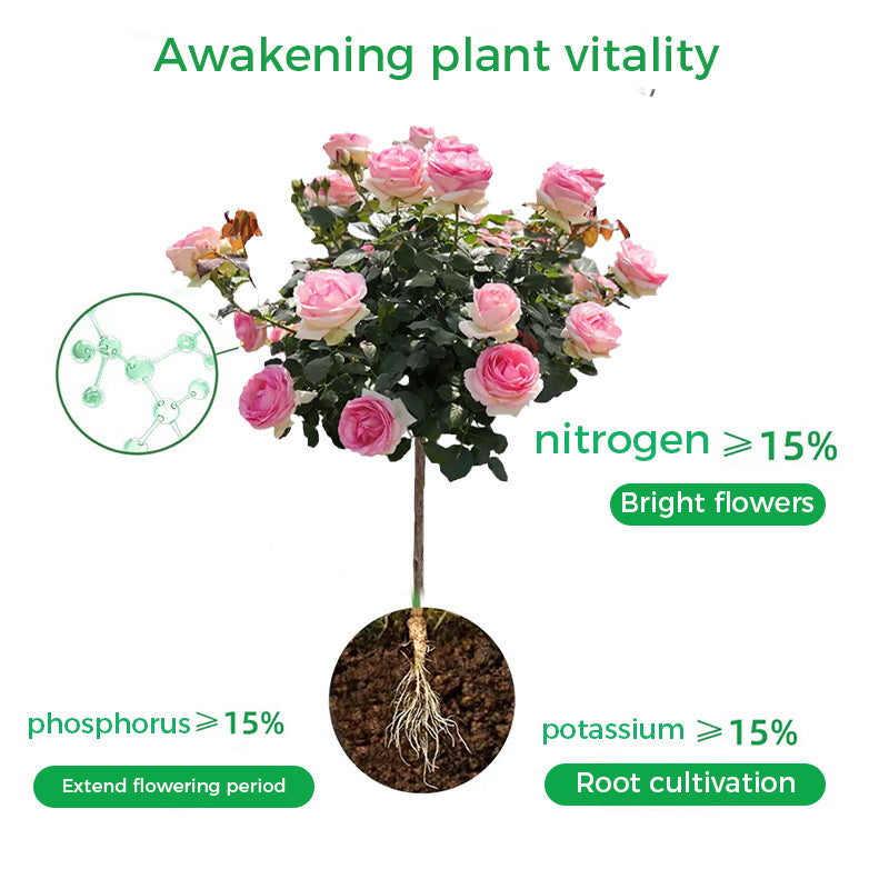 🔥Rapid Rooting And Flowering Powder(50% OFF)
