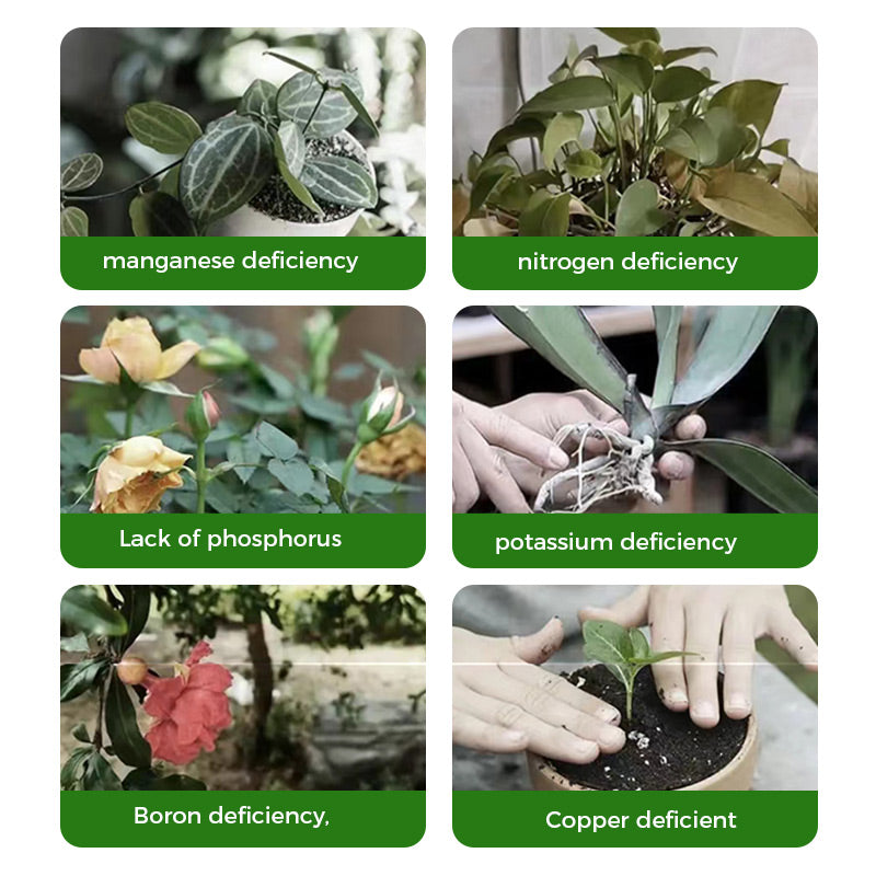 🔥Rapid Rooting And Flowering Powder(50% OFF)