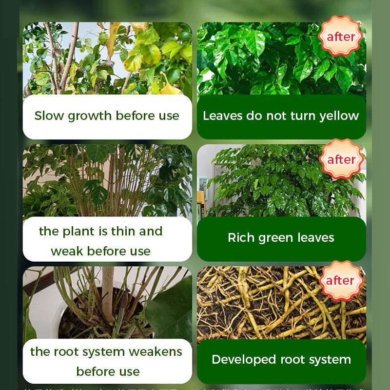 🔥Rapid Rooting And Flowering Powder(50% OFF)