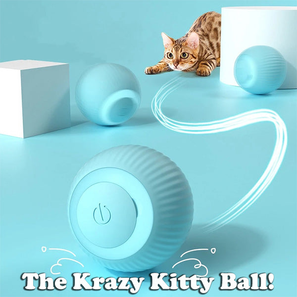 BUY 1 GET 1 FREEš„The Smart Kitty Ball
