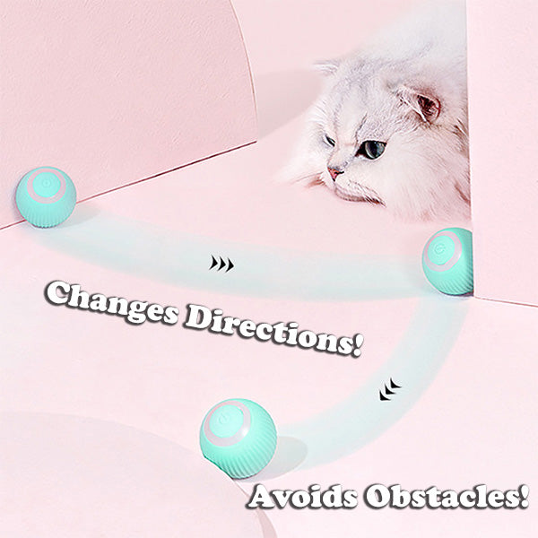 BUY 1 GET 1 FREEš„The Smart Kitty Ball