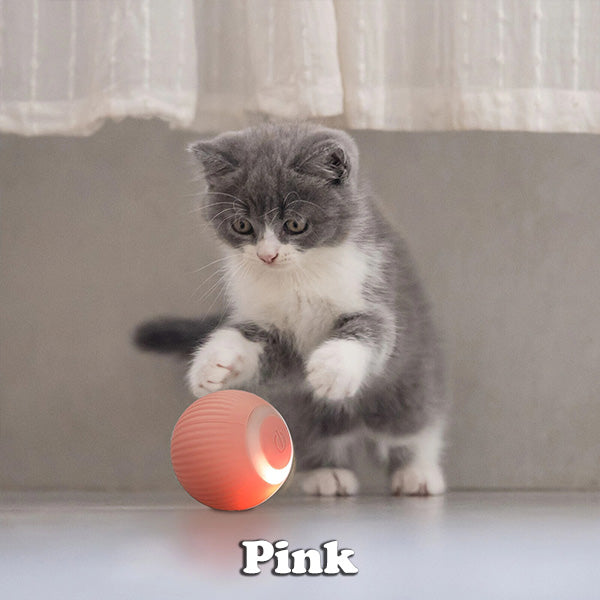 BUY 1 GET 1 FREEš„The Smart Kitty Ball