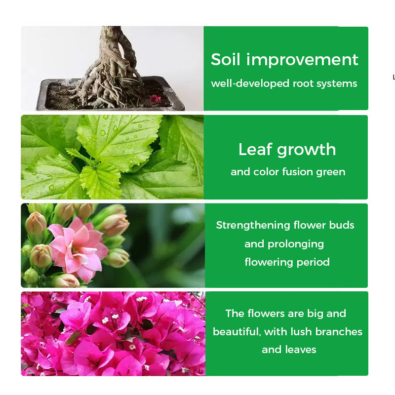 🔥Rapid Rooting And Flowering Powder(50% OFF)