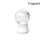 🔥Snow Globe-Shaped Inverted Aromatherapy