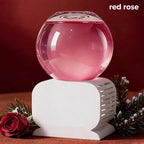 🔥Snow Globe-Shaped Inverted Aromatherapy