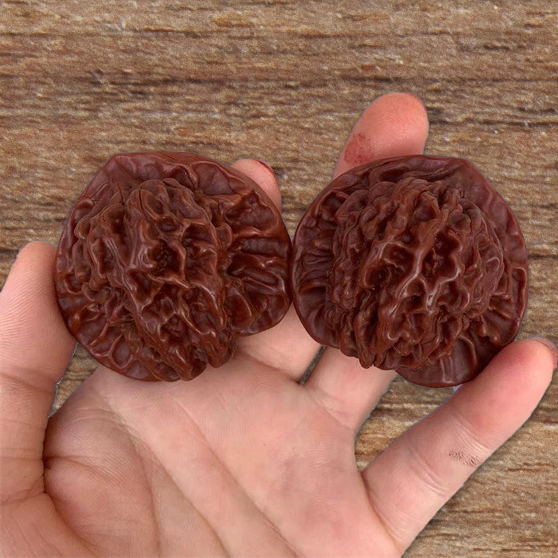 [Unique Gift ✨] Antique Walnuts
