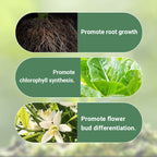 💥Last Day Promotion 49%OFF💥 Slow-Release Organic Fertilizer In Stick Form For Indoor Plants（BUY 5 GET 10 FREE）