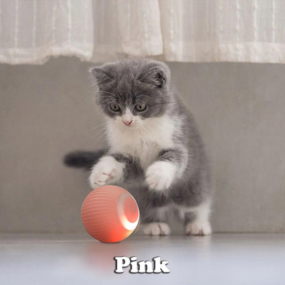 BUY 1 GET 1 FREE🔥The Smart Kitty Ball