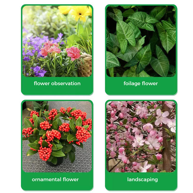 🔥Rapid Rooting And Flowering Powder（50% OFF）