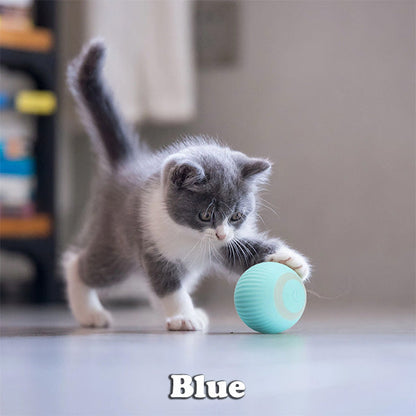 BUY 1 GET 1 FREE🔥The Smart Kitty Ball