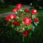 Simulation Azalea Flower Ground Stake Solar Light