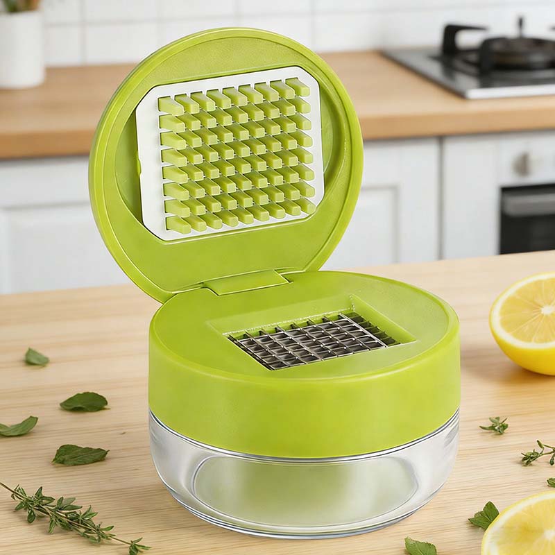 Mini Garlic Chopper and Press with Container