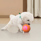 🐾 AUTO-BOUNCING SMART PET BALL WITH REMOTE CONTROL— 3 Interactive Modes | Chew-Resistant E-TPU | USB-C Rechargeable 🎾